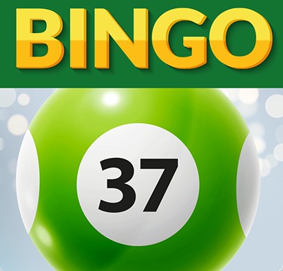 Bingo 37