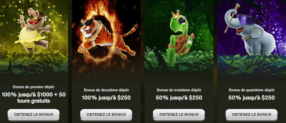 247 CashWin Presente Bonus sans Dépôt et Bonus de Bienvenue