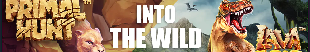 Casino Disco bonus codes pour l'argent réel et les tours gratuits